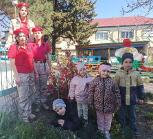 Сад Памяти Сад Памяти.