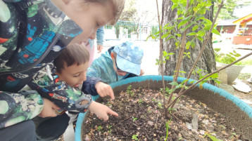 Открытия на прогулочном участке Открытия на прогулочном участке.
