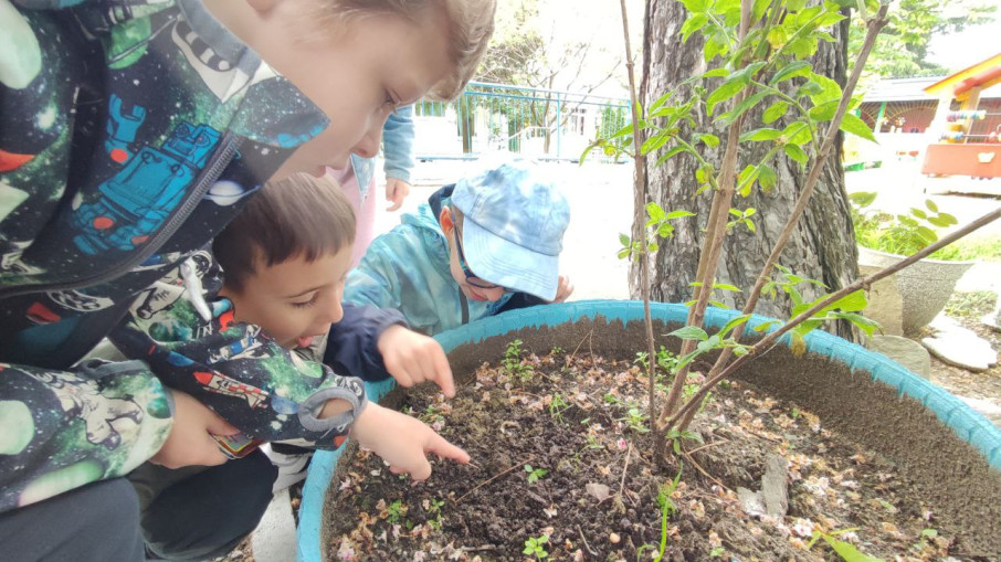 Открытия на прогулочном участке Открытия на прогулочном участке.
